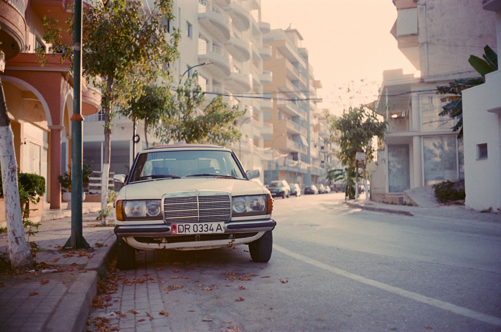 Photograph 1 from the Albania `20 series