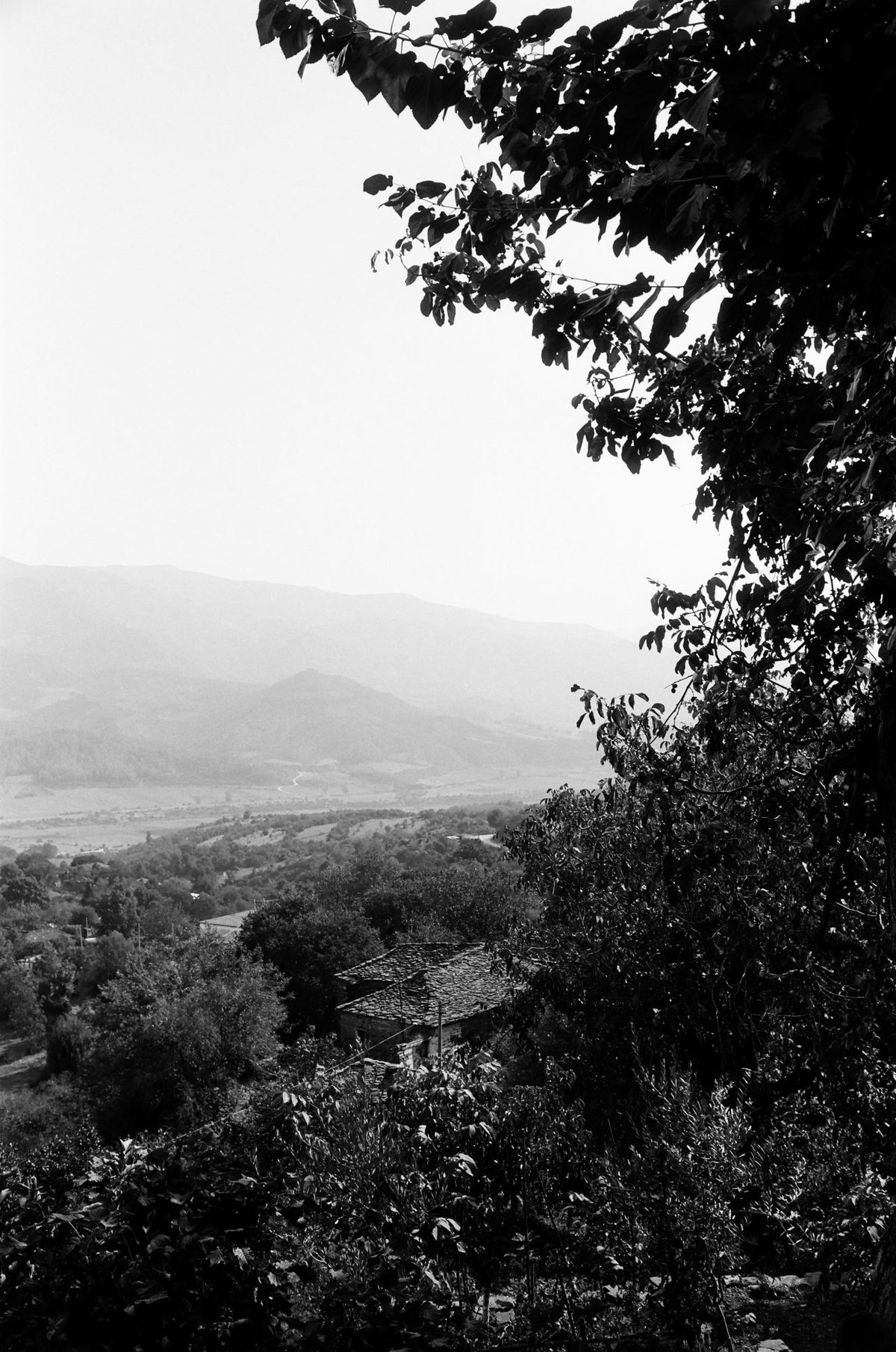 Photograph 5 from the Albania `20 series