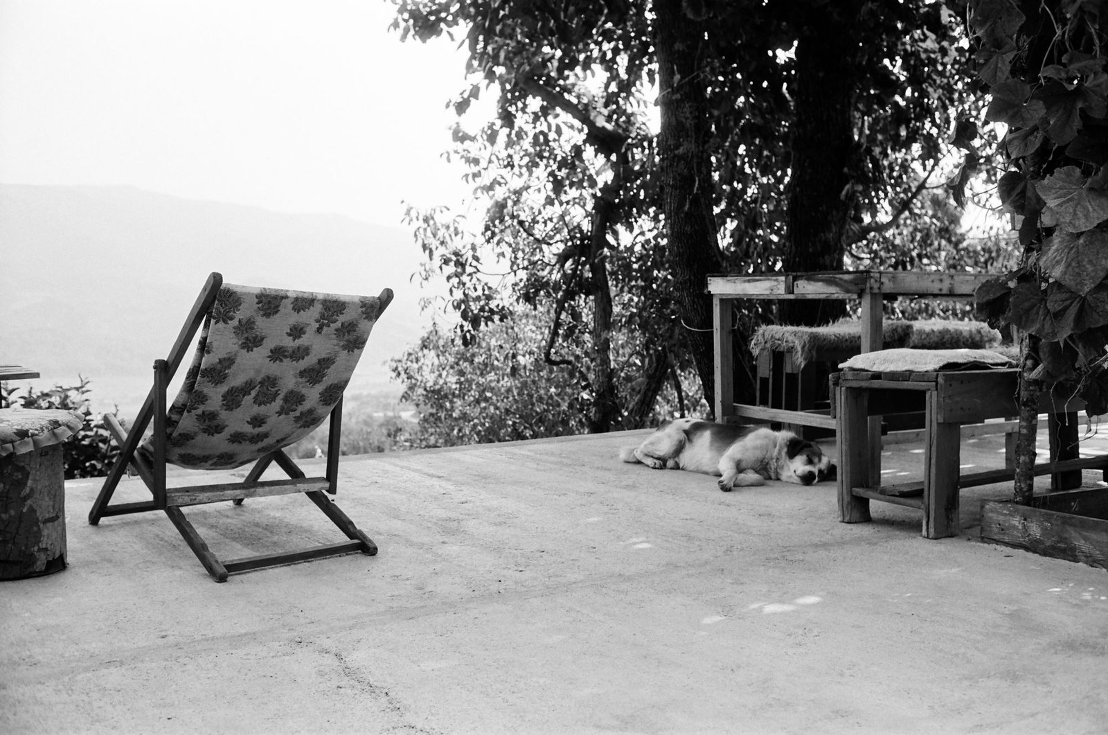 Photograph 7 from the Albania `20 series