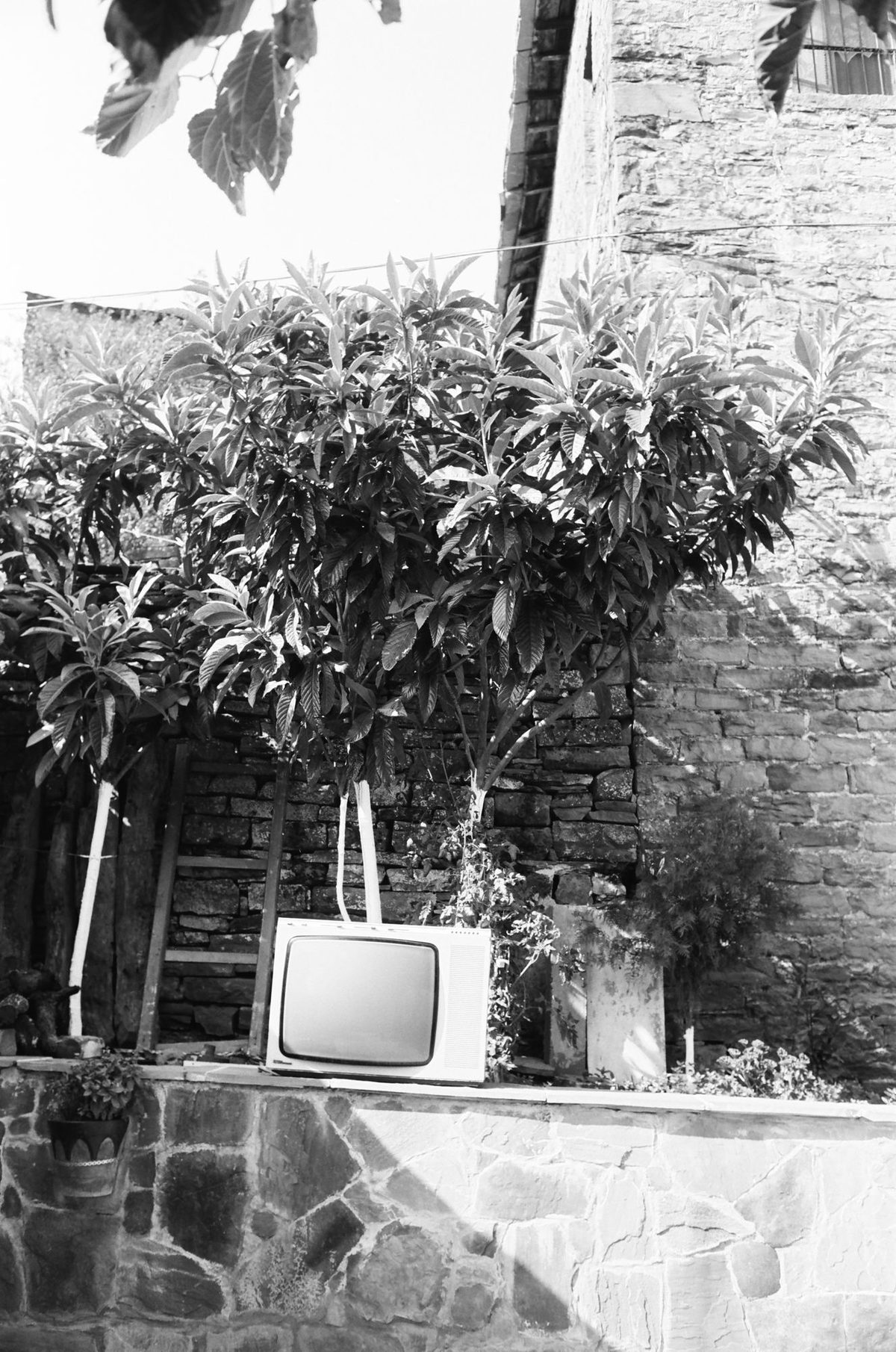 Photograph 10 from the Albania `20 series