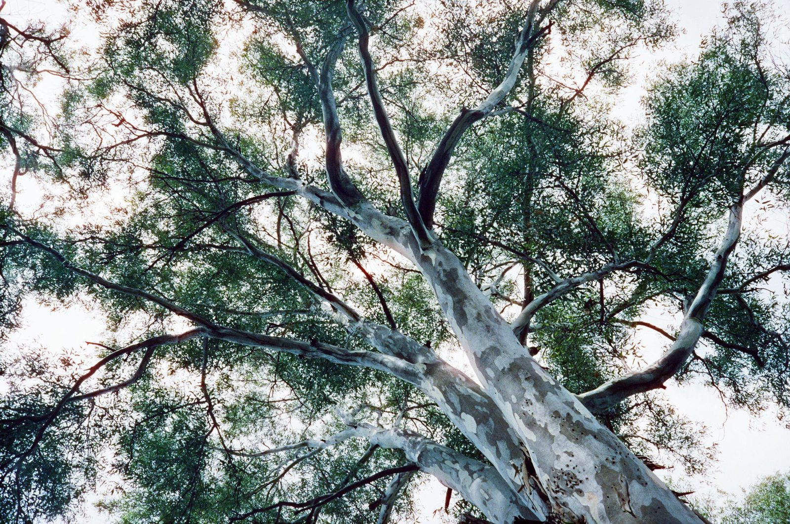 Photograph 16 from the Albania `20 series