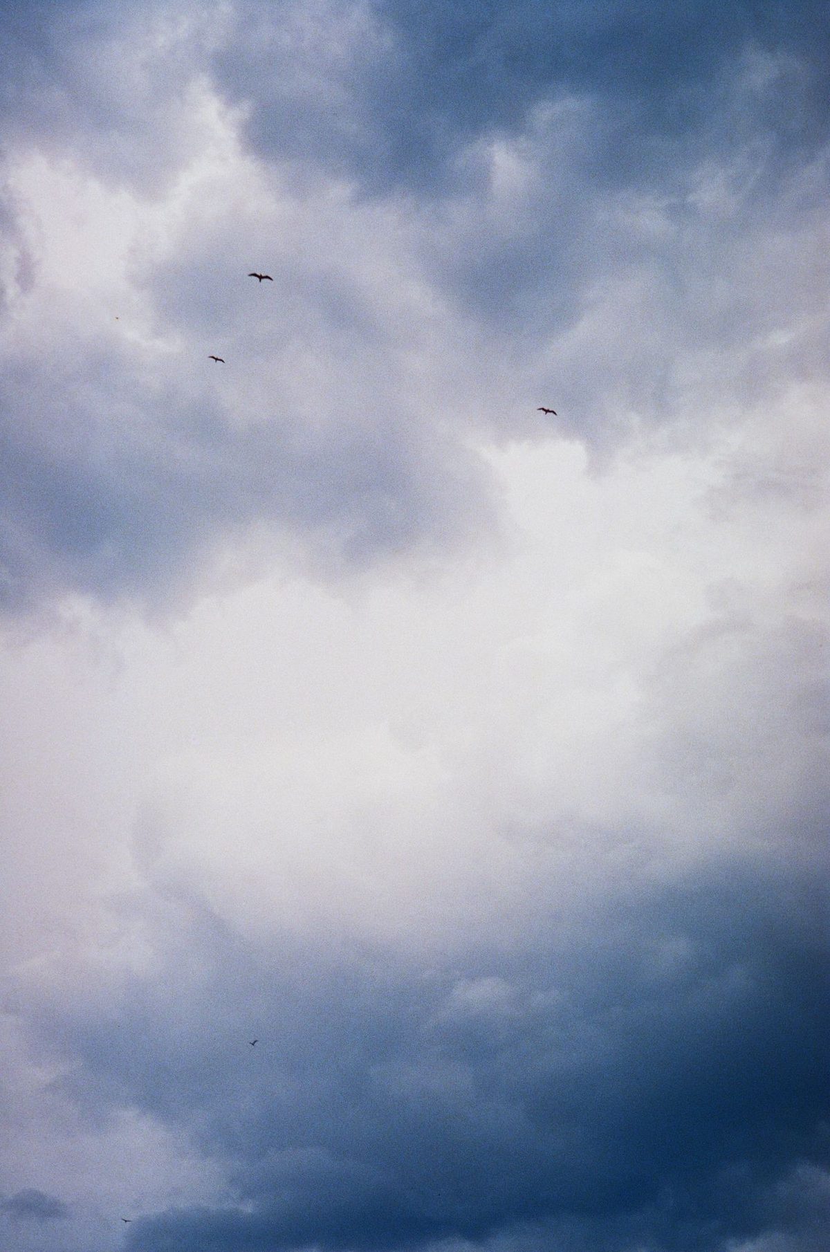 Photograph 18 from the Albania `20 series