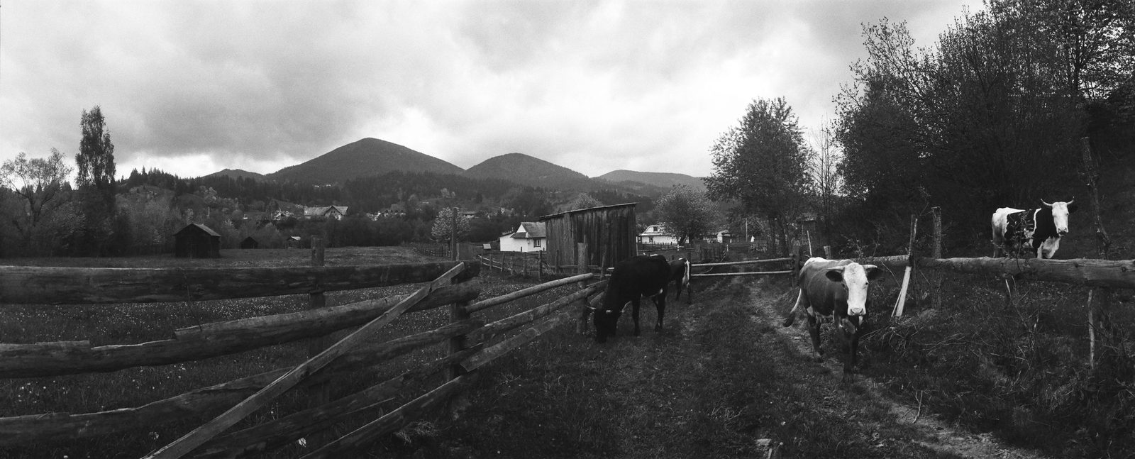 Photograph 9 from the Carpathians `21 series