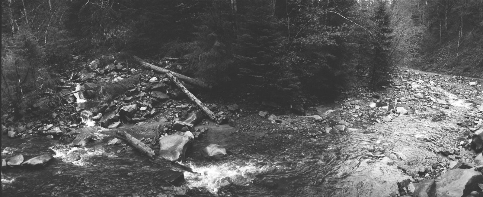 Photograph 10 from the Carpathians `21 series