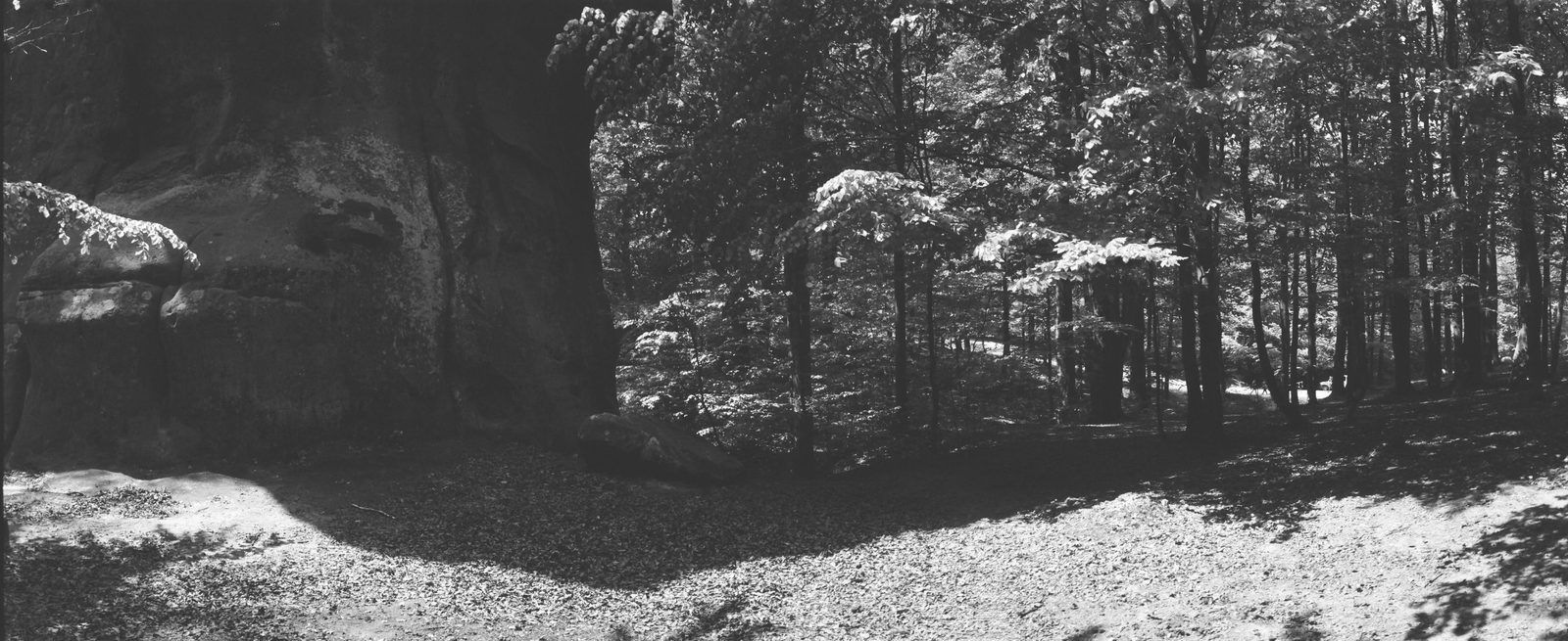 Photograph 12 from the Carpathians `21 series