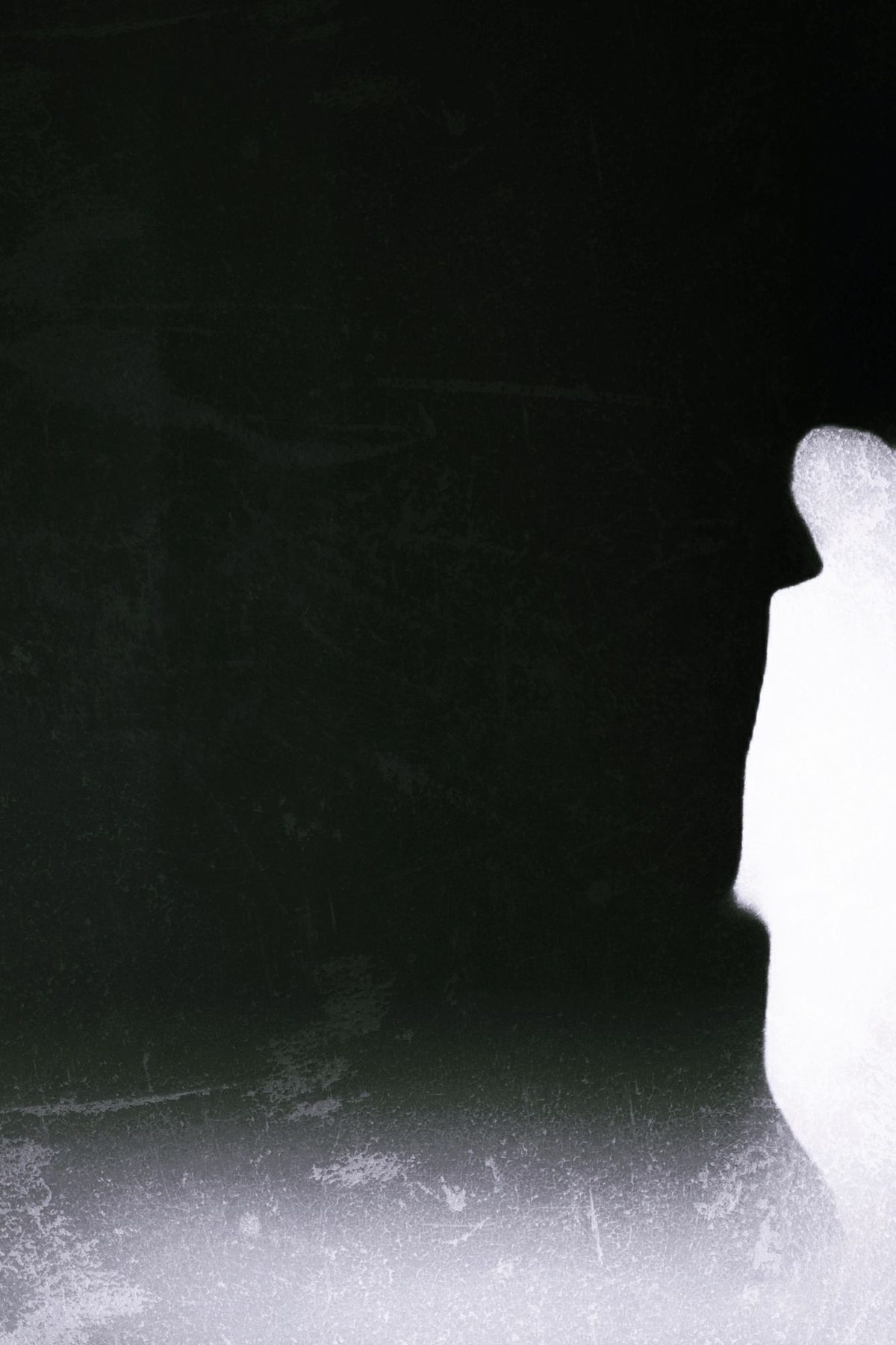 Photograph 1 from the Figures on Light series