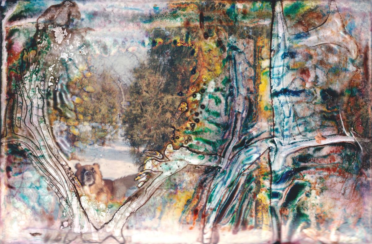 Photograph 9 from the Flooded Memories series