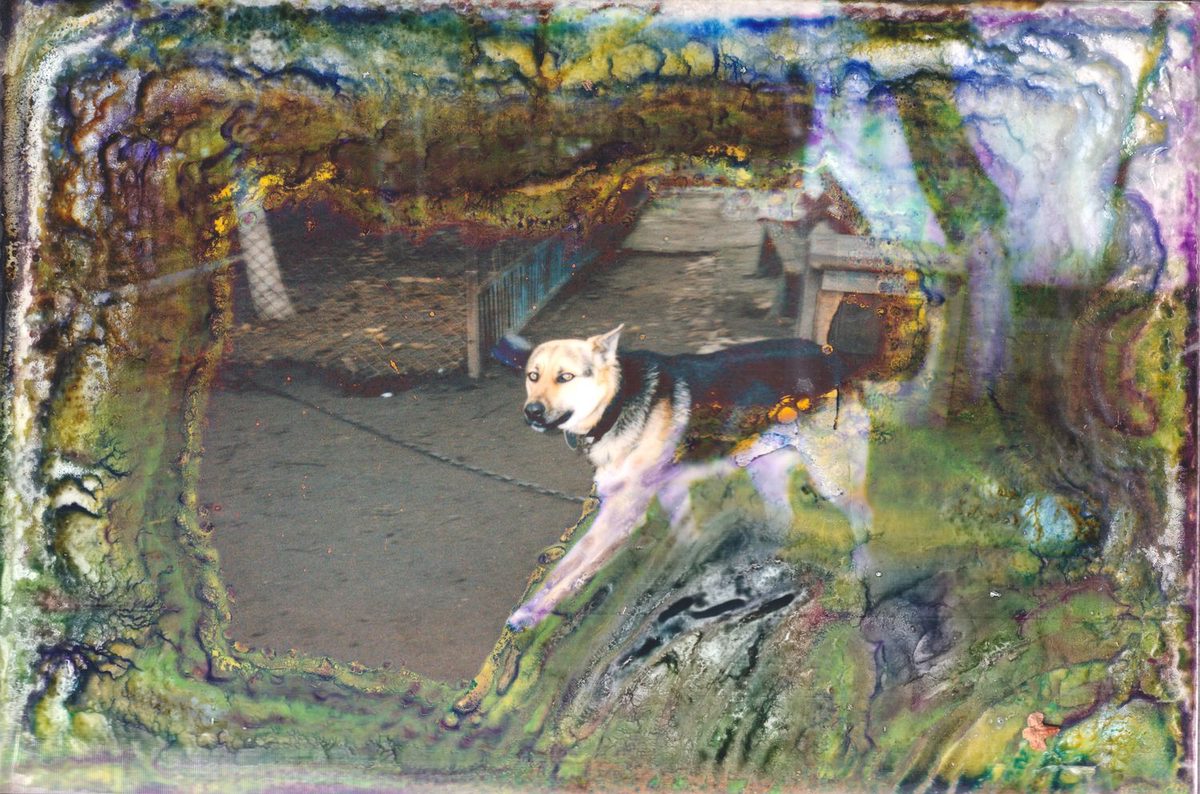 Photograph 16 from the Flooded Memories series