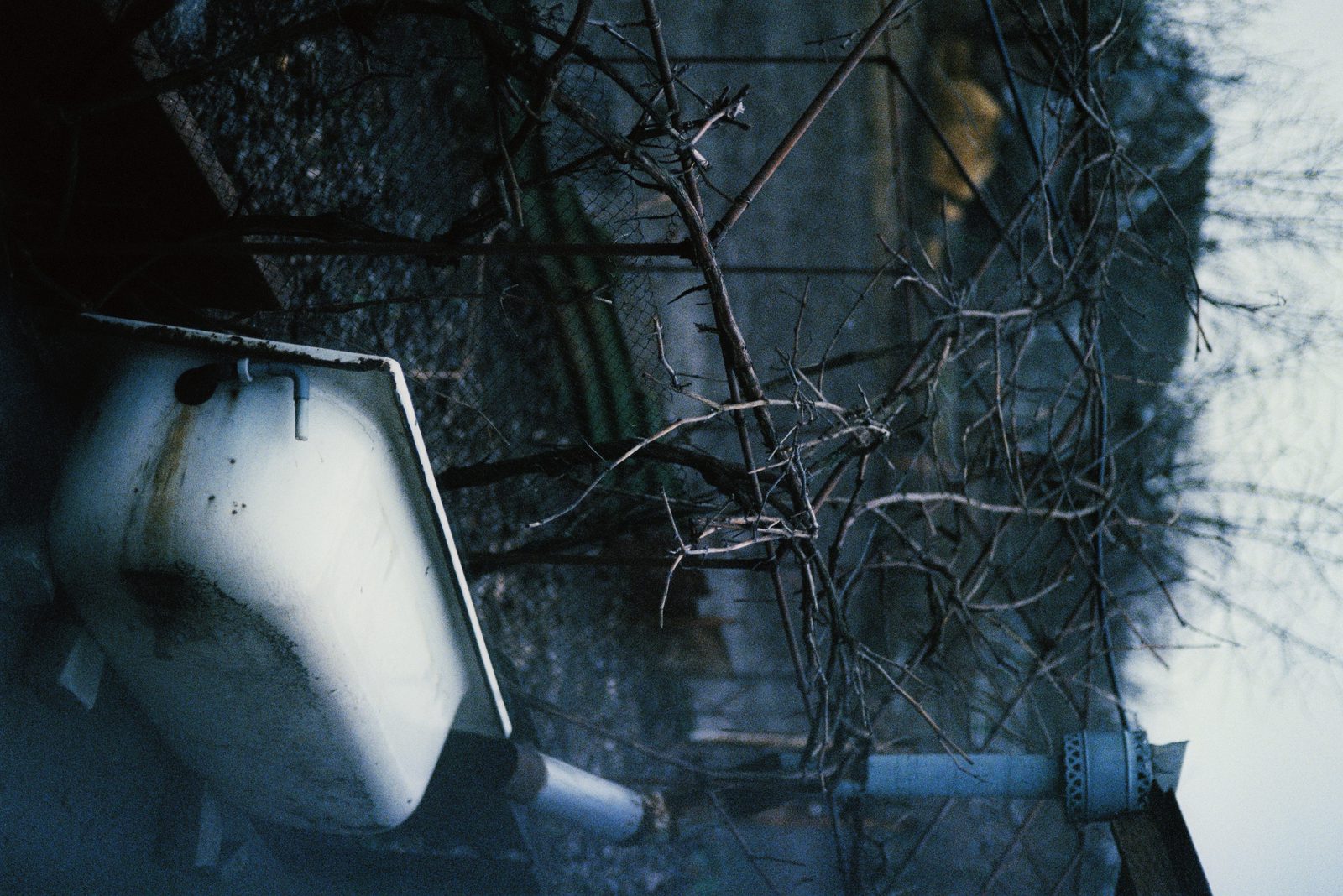 Photograph 1 from the The Fade in Time series